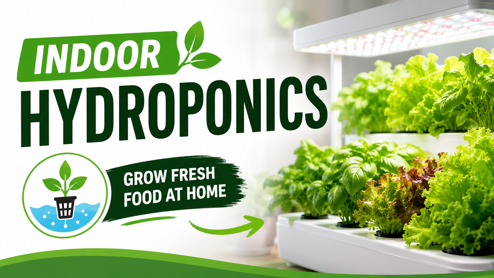 Indoor Hydroponics for Beginners