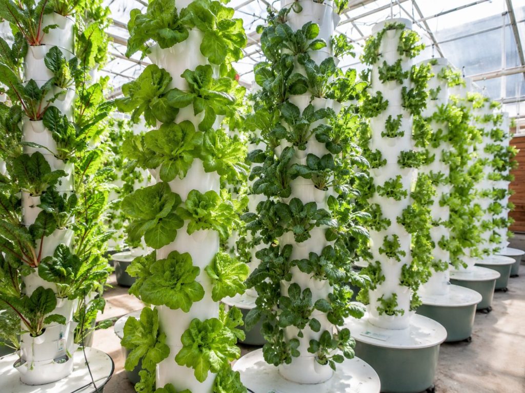 Vertical Hydroponic Systems
