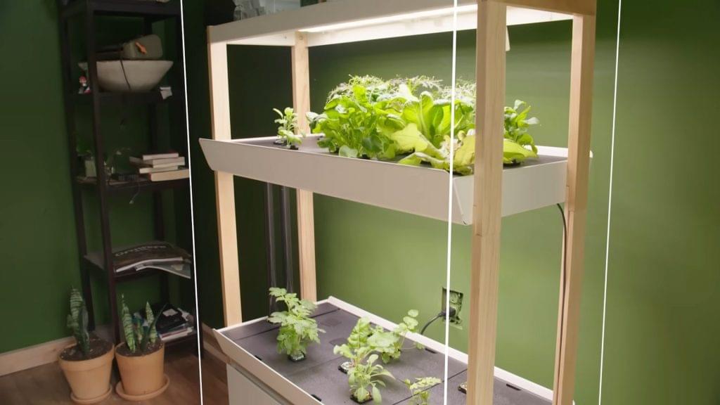 How Indoor Hydroponics Works